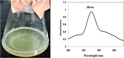 Efficiency of Biosynthesized Silver and Zinc Nanoparticles Against Multi-Drug Resistant Pathogens